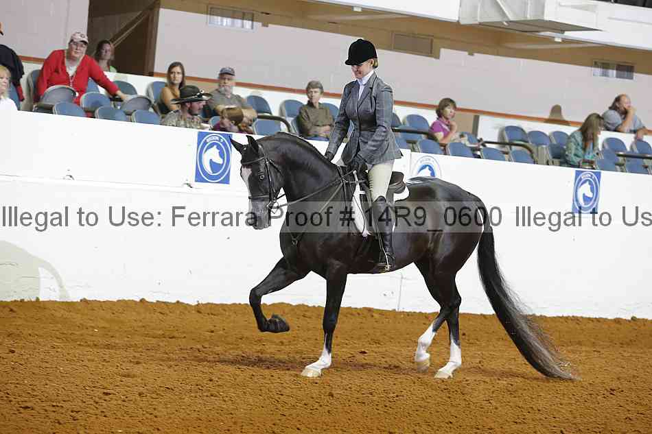 Proof 14r9_0600