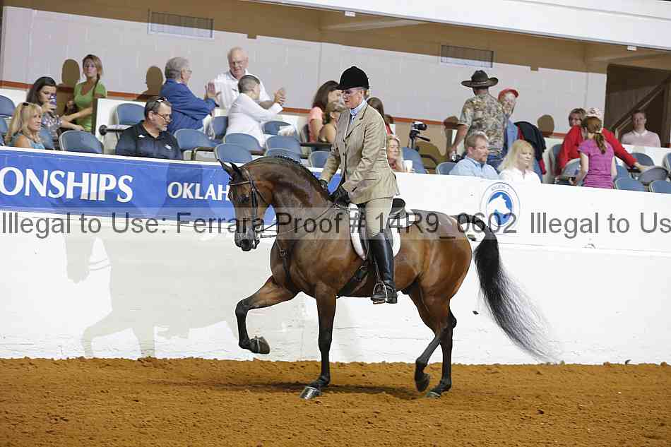 Proof 14r9_0602