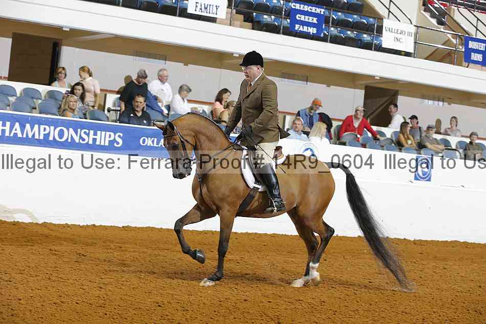 Proof 14r9_0604