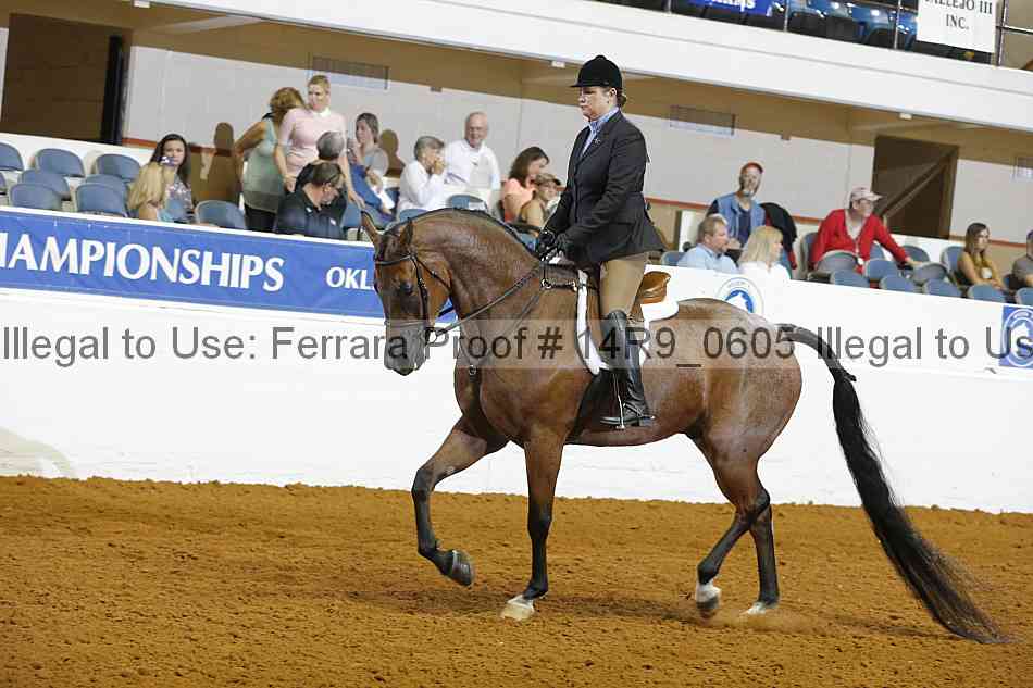 Proof 14r9_0605