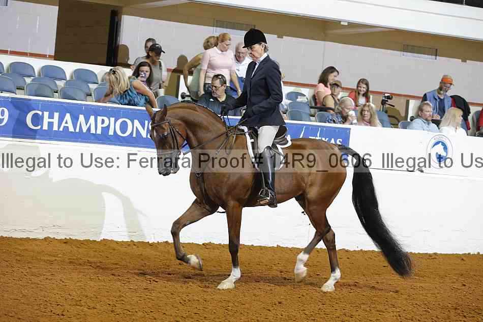 Proof 14r9_0606
