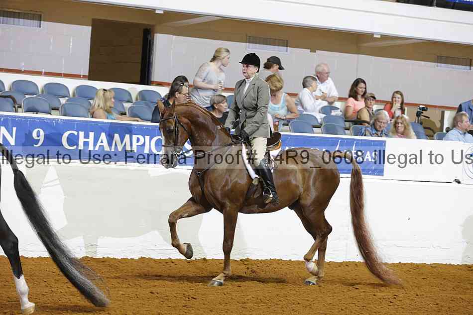Proof 14r9_0608