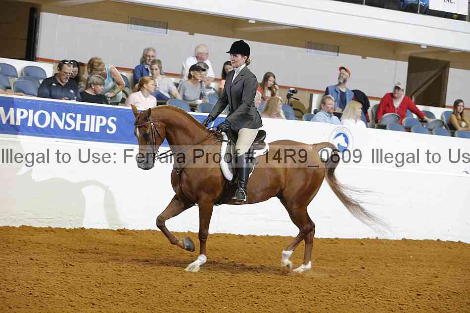 Proof 14r9_0609