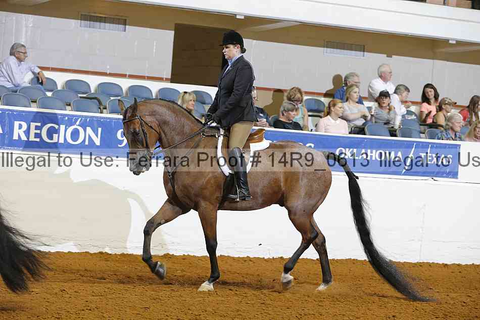 Proof 14r9_0613