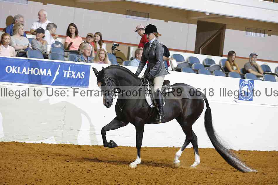 Proof 14r9_0618