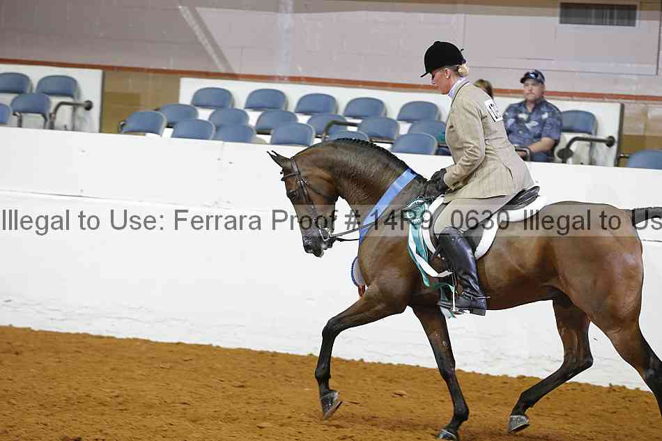 Proof 14r9_0630