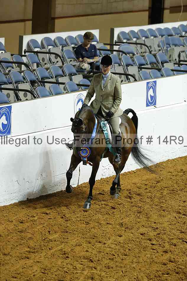 Proof 14r9_0631