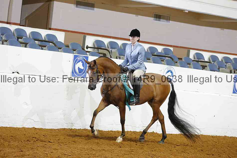 Proof 14r9_0638