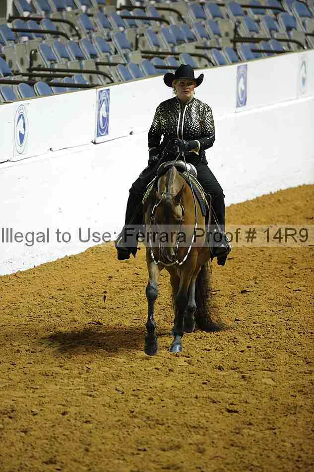 Proof 14r9_0662