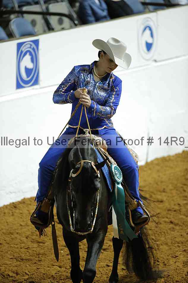 Proof 14r9_0699