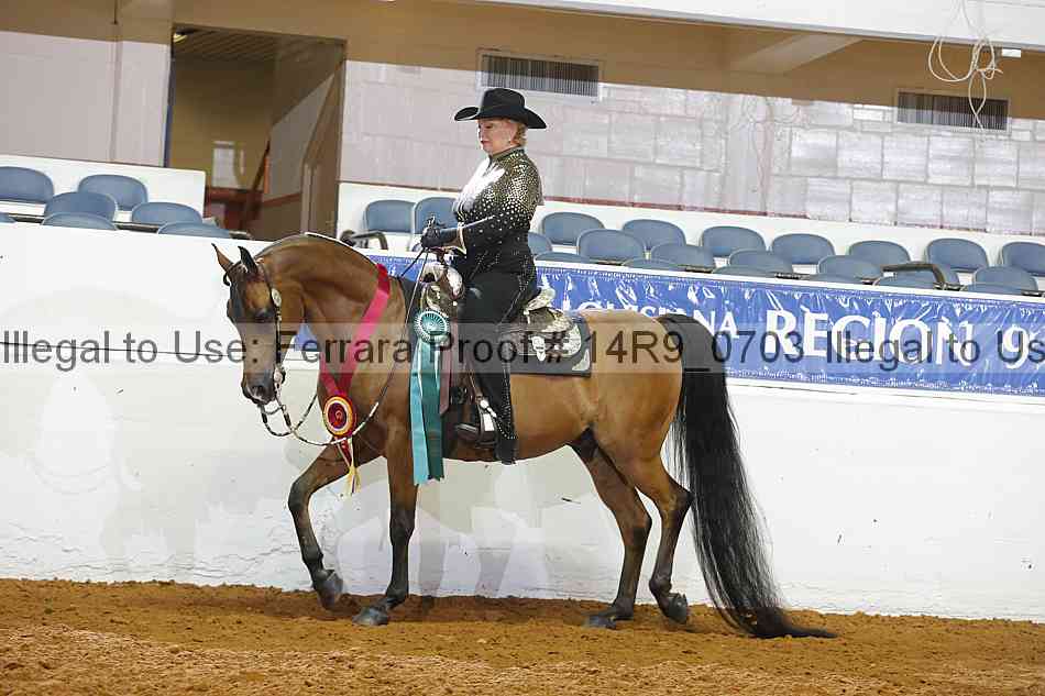 Proof 14r9_0703