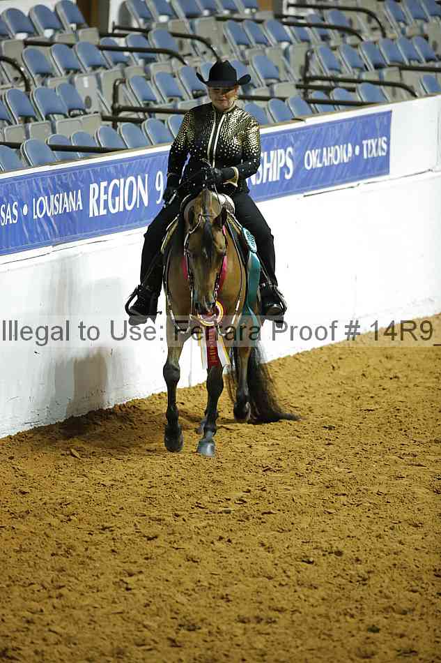 Proof 14r9_0704