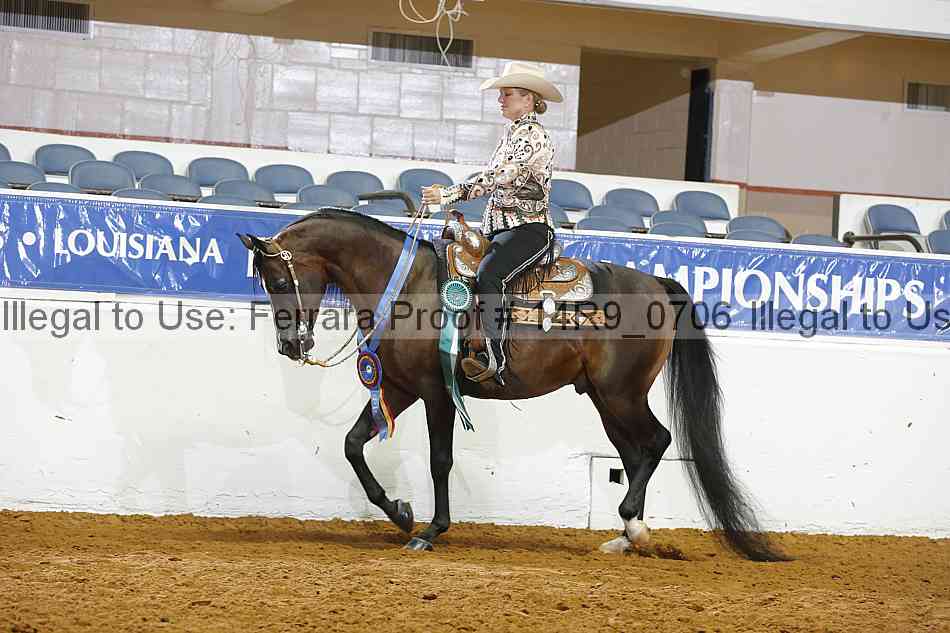 Proof 14r9_0706