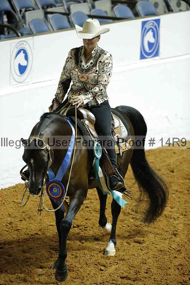 Proof 14r9_0709