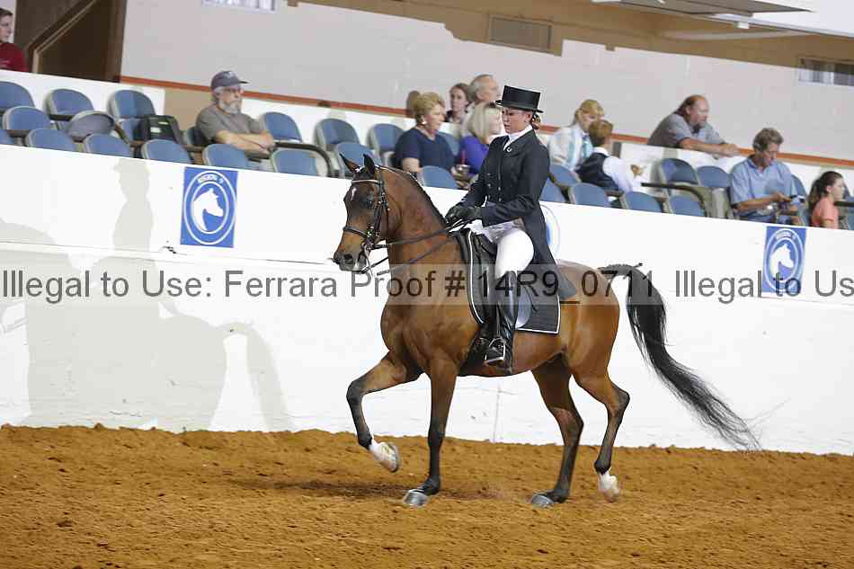 Proof 14r9_0711