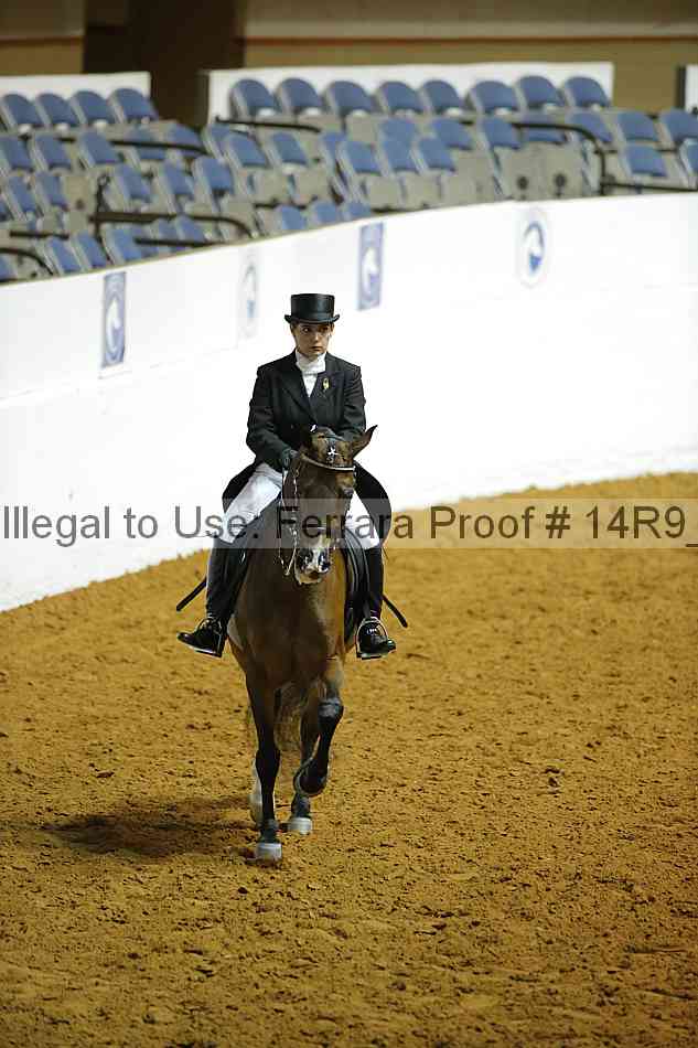 Proof 14r9_0723