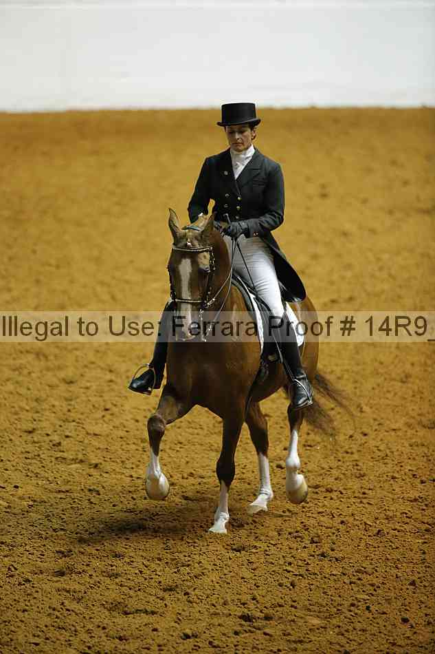 Proof 14r9_0729