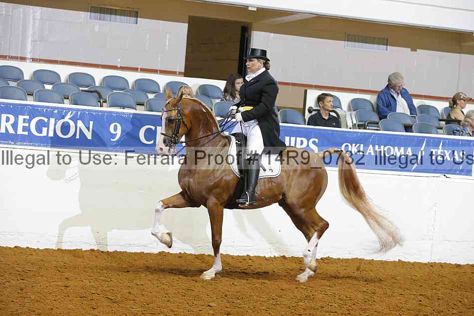 Proof 14r9_0732