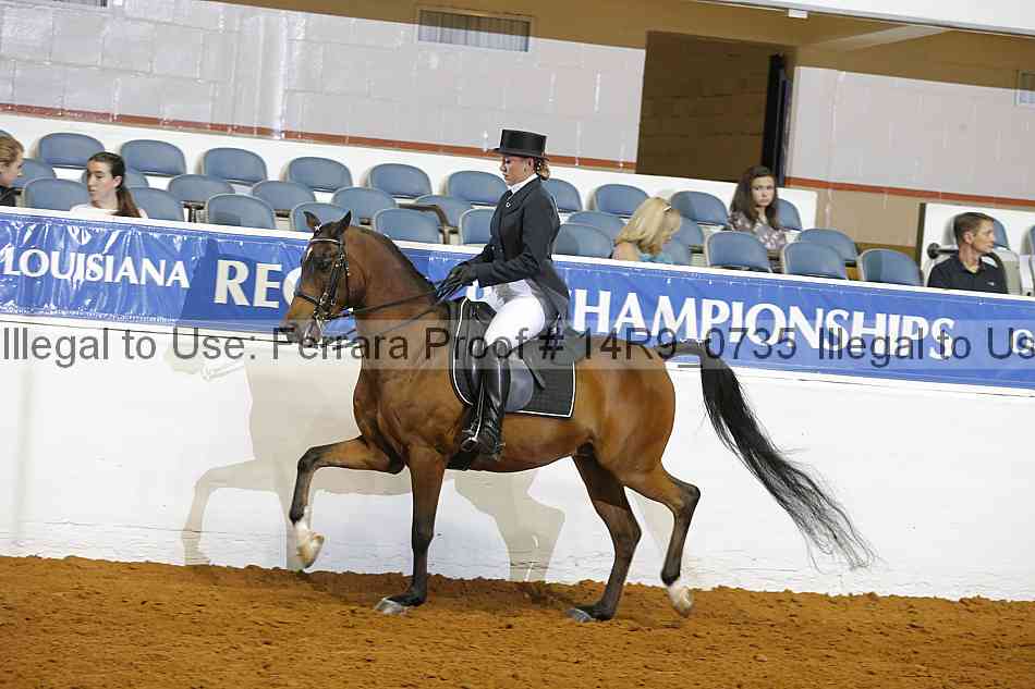 Proof 14r9_0735