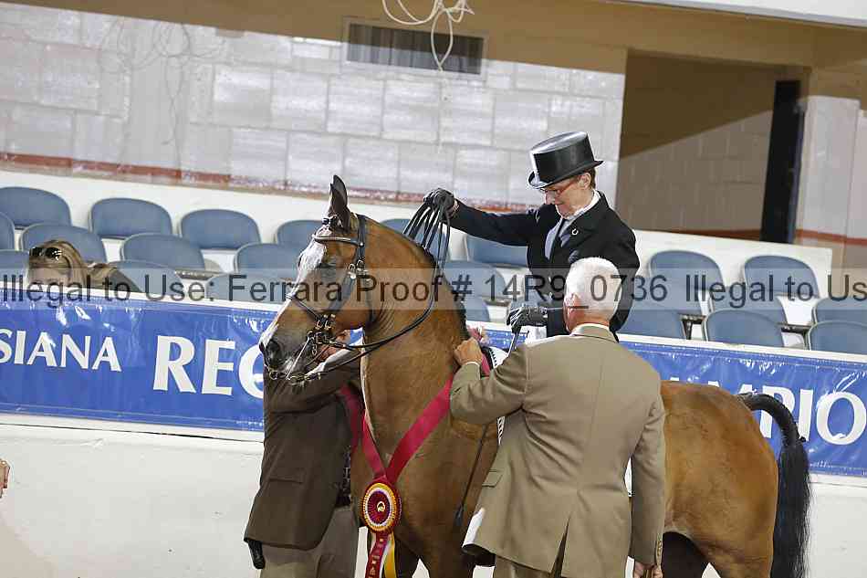 Proof 14r9_0736