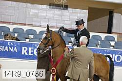 14r9_0736 proof