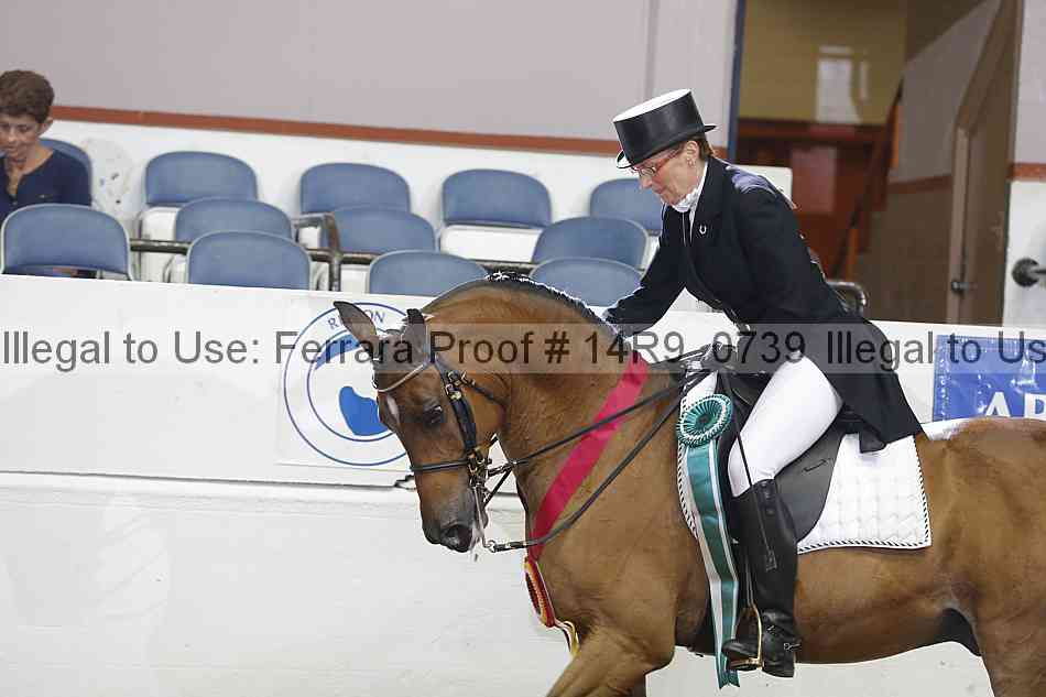 Proof 14r9_0739