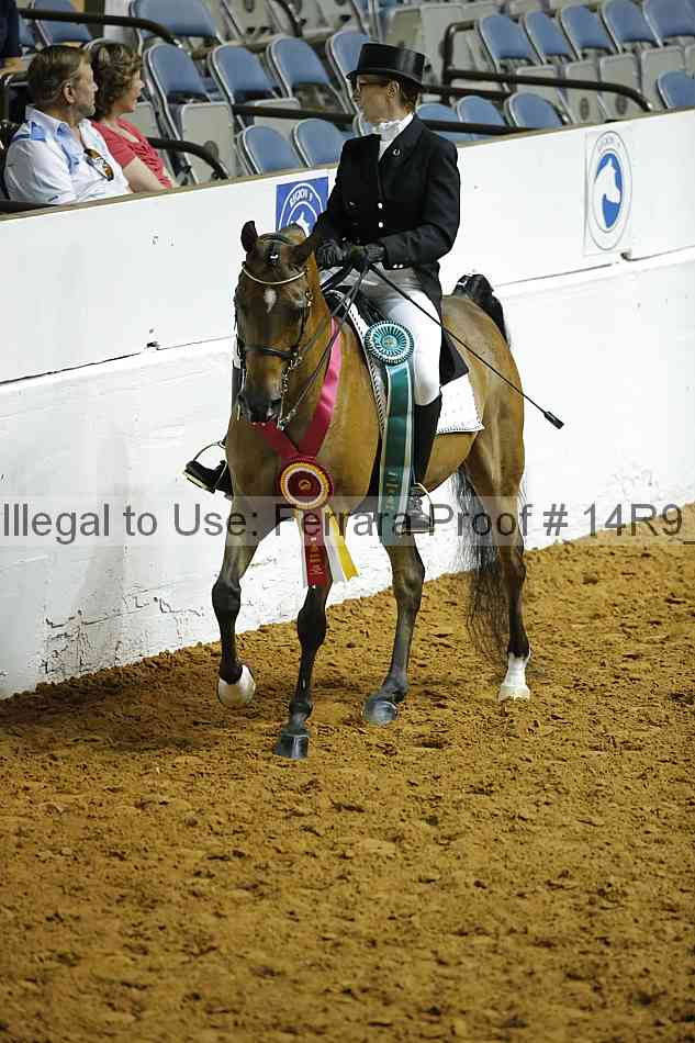 Proof 14r9_0740