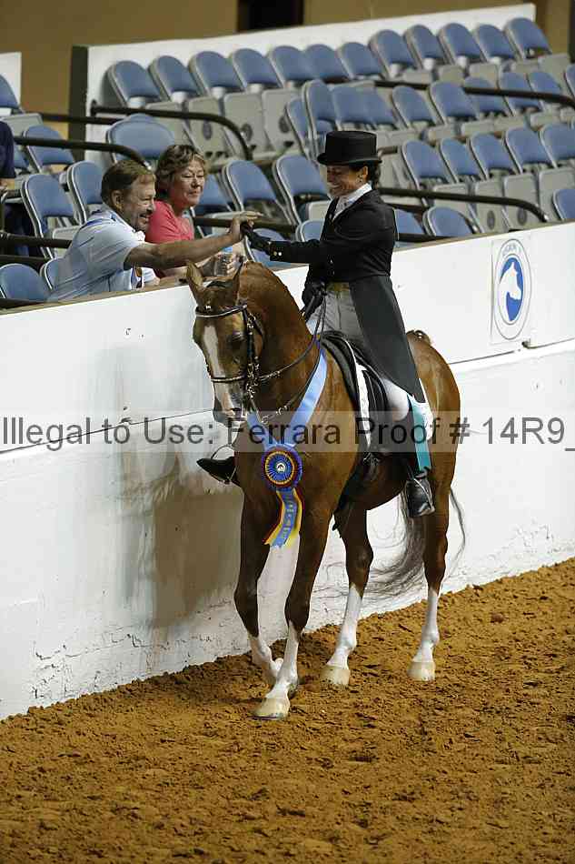 Proof 14r9_0750