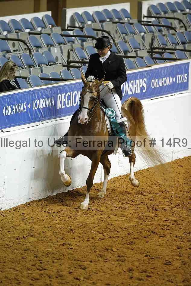 Proof 14r9_0756
