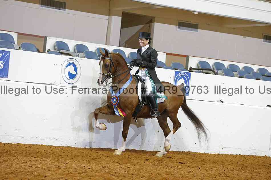 Proof 14r9_0763