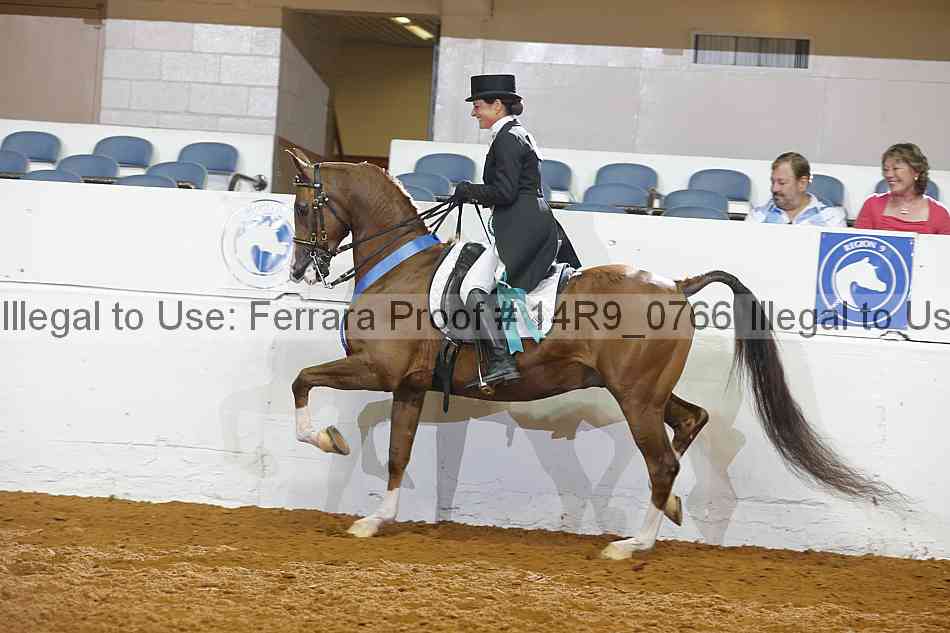 Proof 14r9_0766