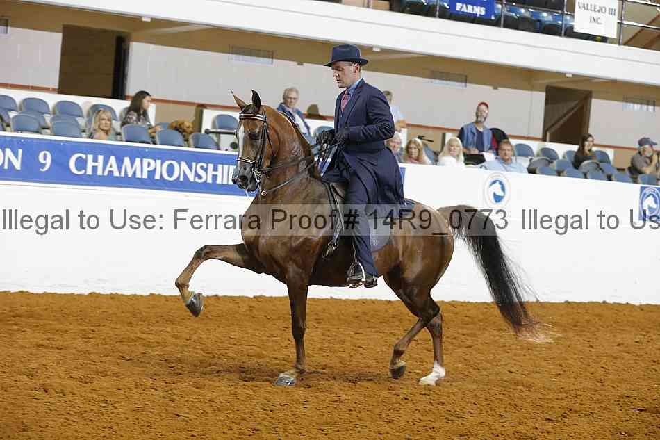Proof 14r9_0773