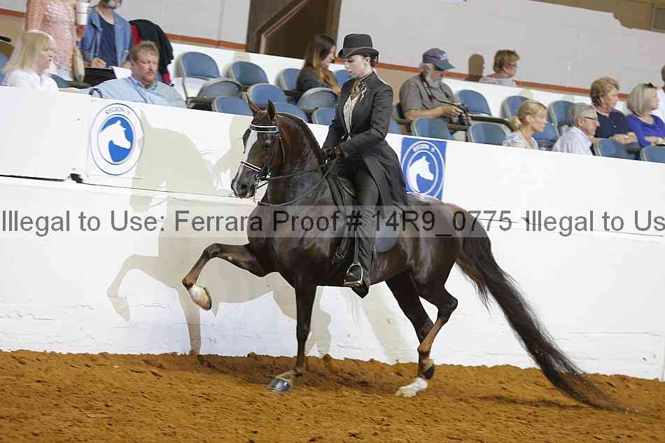 Proof 14r9_0775