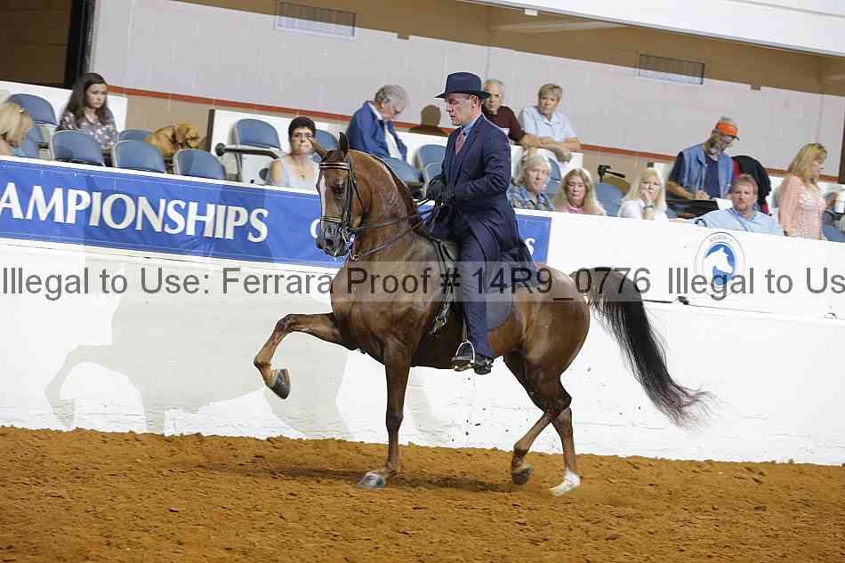 Proof 14r9_0776