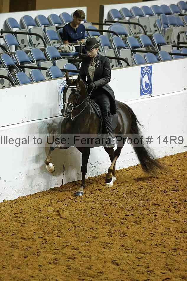 Proof 14r9_0778