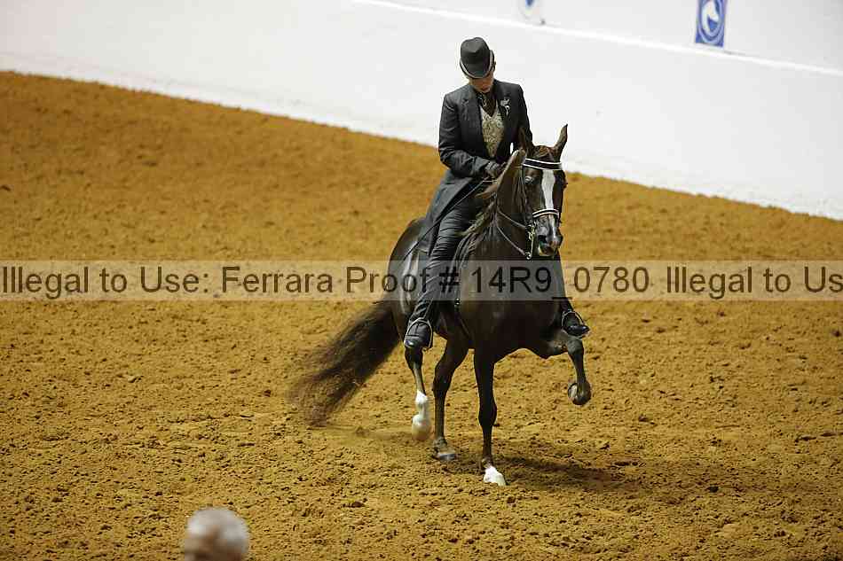 Proof 14r9_0780