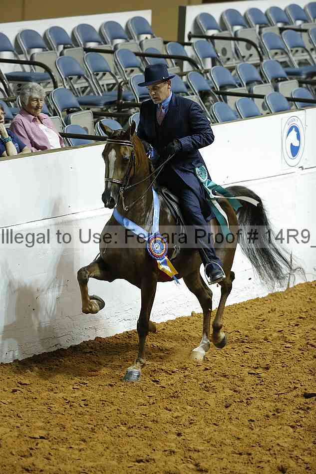 Proof 14r9_0787