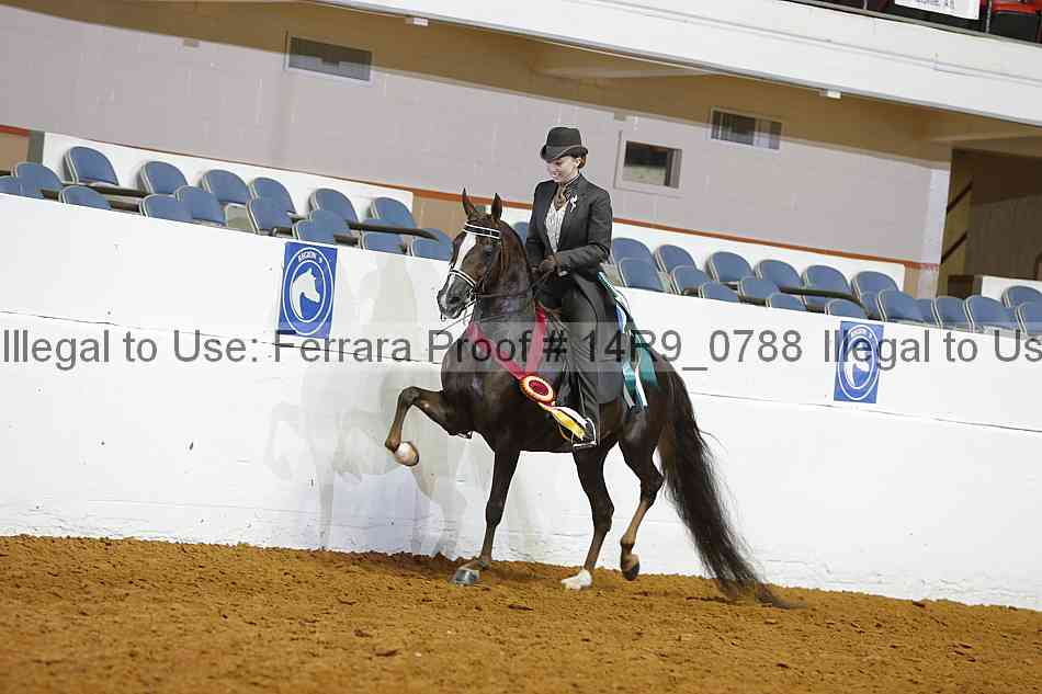 Proof 14r9_0788