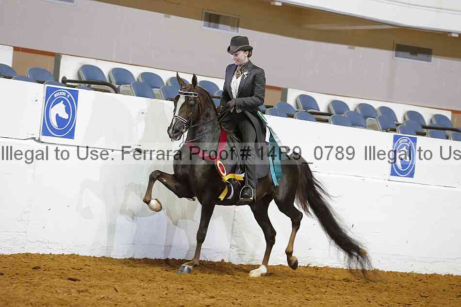 Proof 14r9_0789
