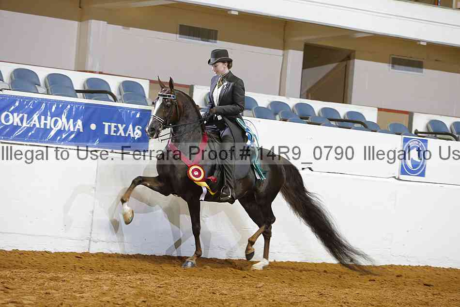Proof 14r9_0790