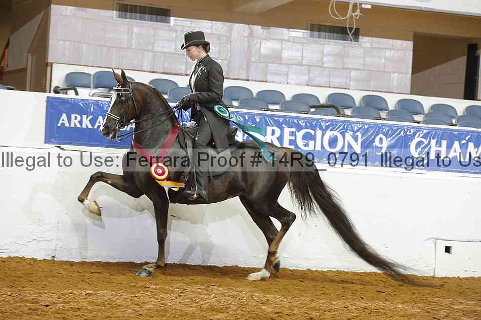 Proof 14r9_0791