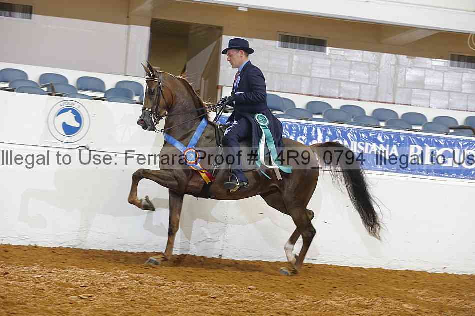 Proof 14r9_0794