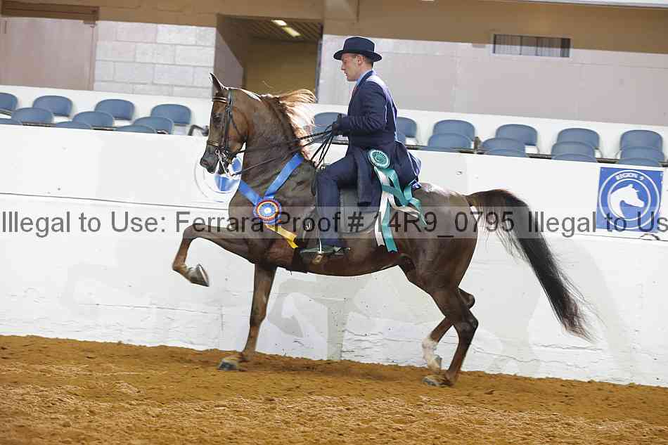 Proof 14r9_0795