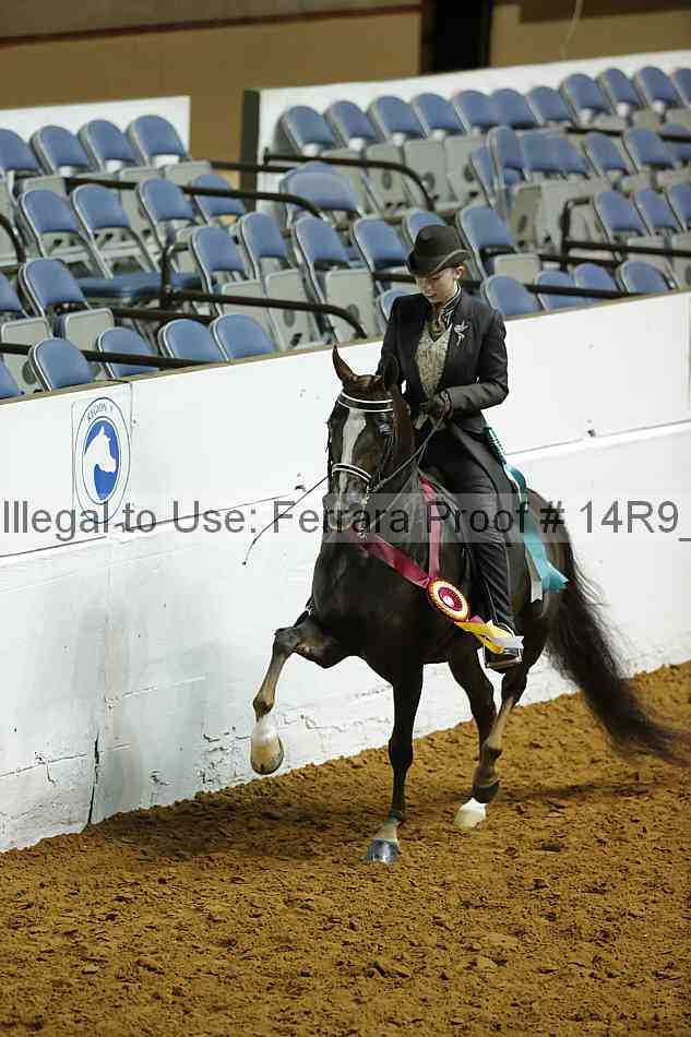 Proof 14r9_0796