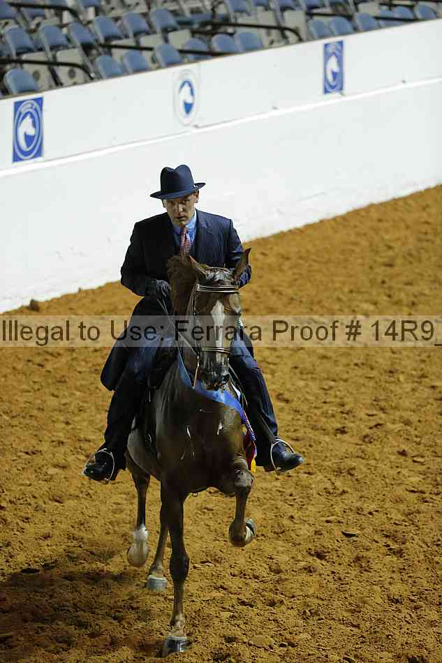 Proof 14r9_0799
