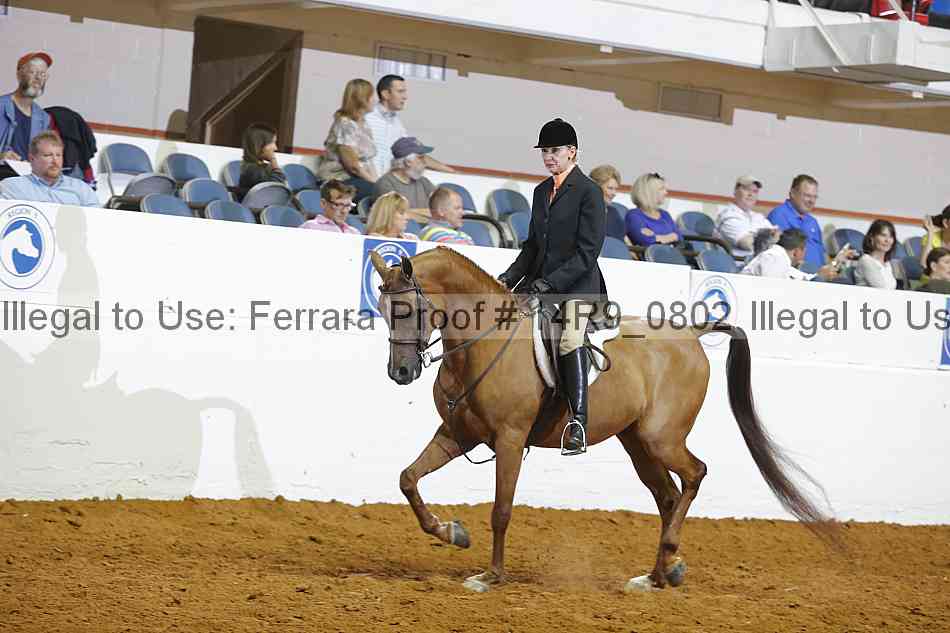 Proof 14r9_0802