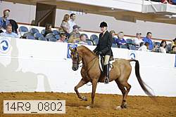 14r9_0802 proof