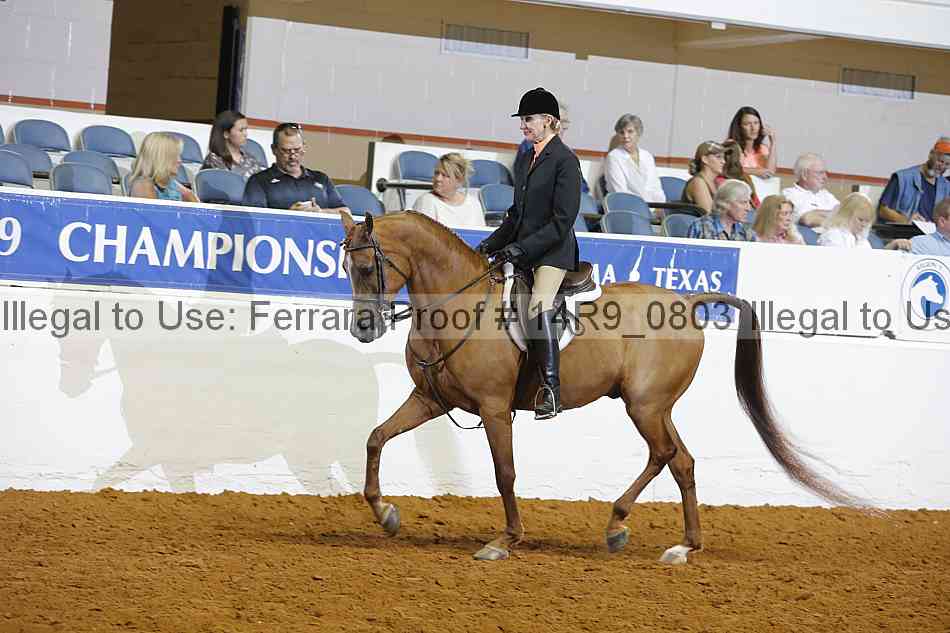 Proof 14r9_0803