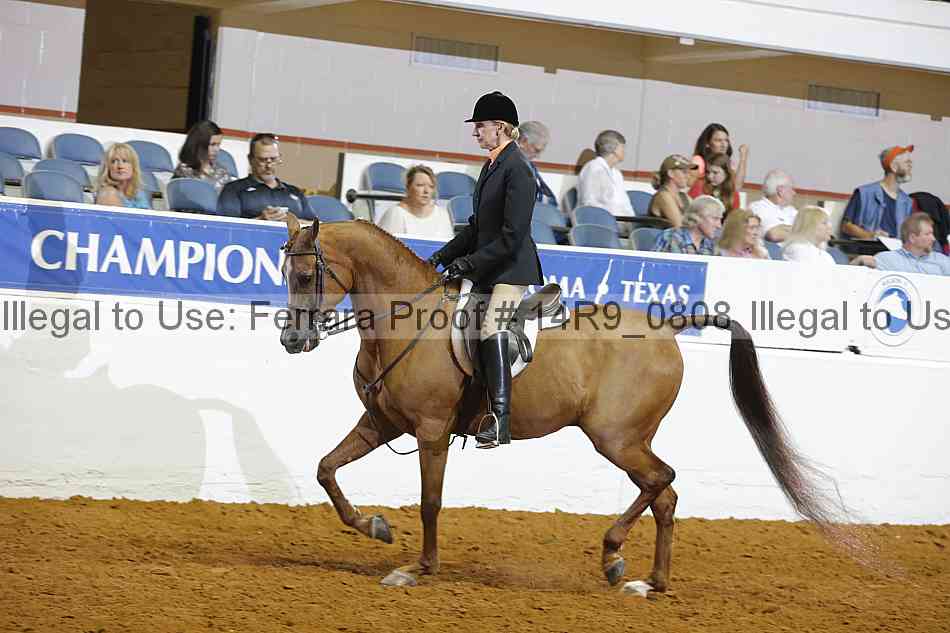 Proof 14r9_0808