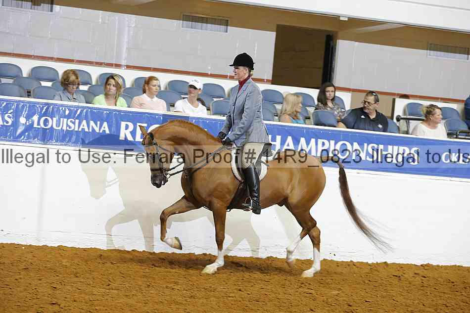 Proof 14r9_0823